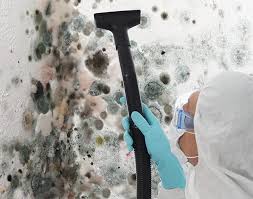 Mold Documentation for Insurance Claims in Moberly, MO